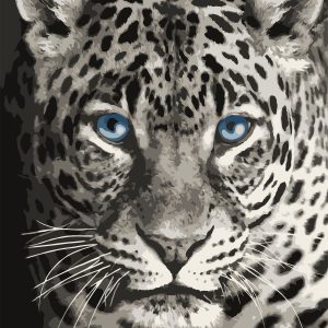 Набор для рисования по номерам. F012 Леопард голубоглазый 40 * 50