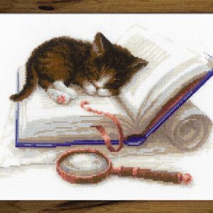 Котенок в книге SR1725