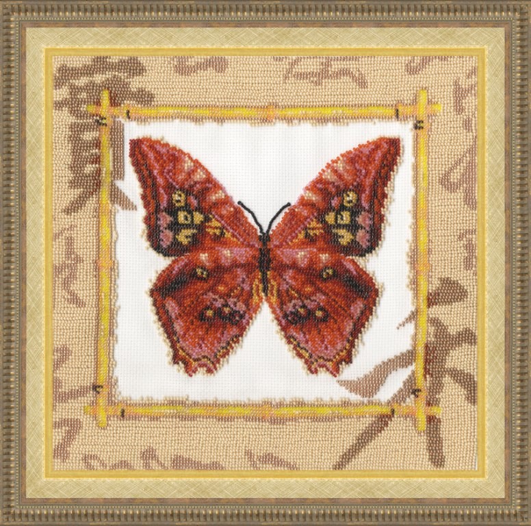 (Снято с производства) Morpho Amphitryon S / BS002