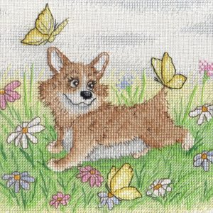 (Снято с производства) Summer Walk SNV-569