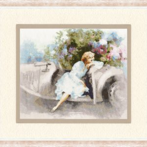 Мечтание S / AK001