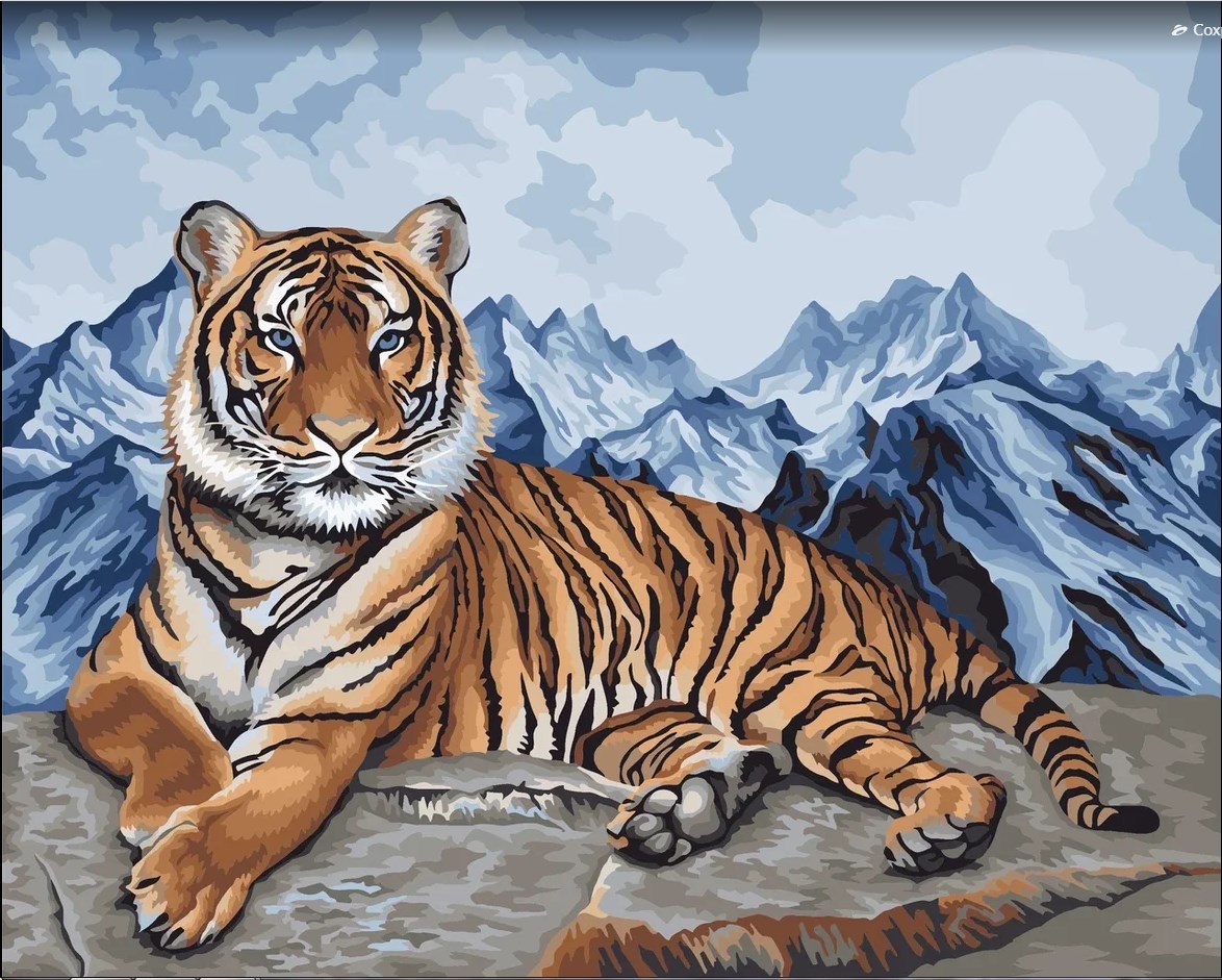 Набор для рисования Wizardi по номерам. Амурский тигр 40x50 см H090