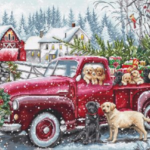 Набор для рукоделия SLETIL8014